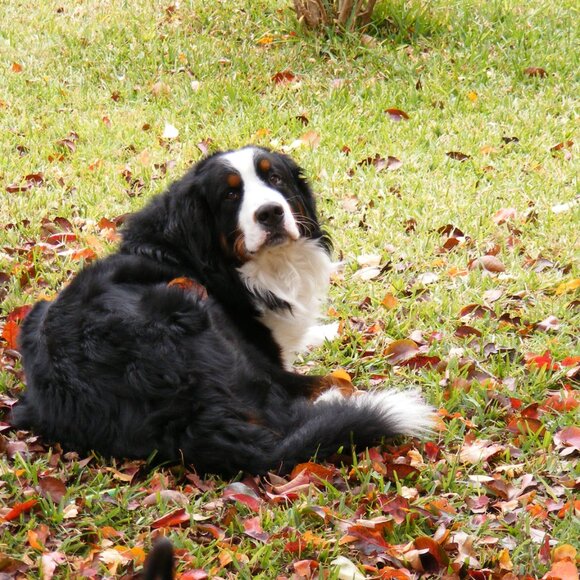 Welcome to my closet. I am open to bundle offers. - Picture 12 of 16